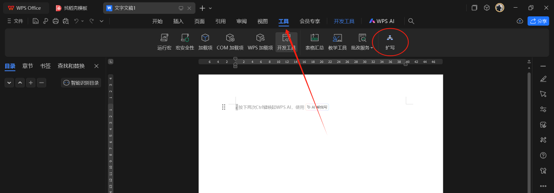 image-20250206191645654
