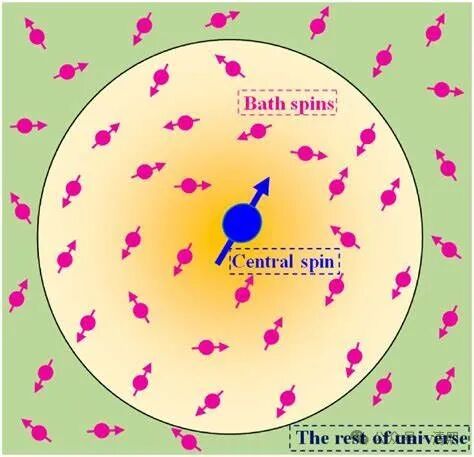 A central spin and nanoscale spin bath evolve as a closed system in the ...