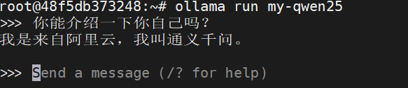 ollama测试模型