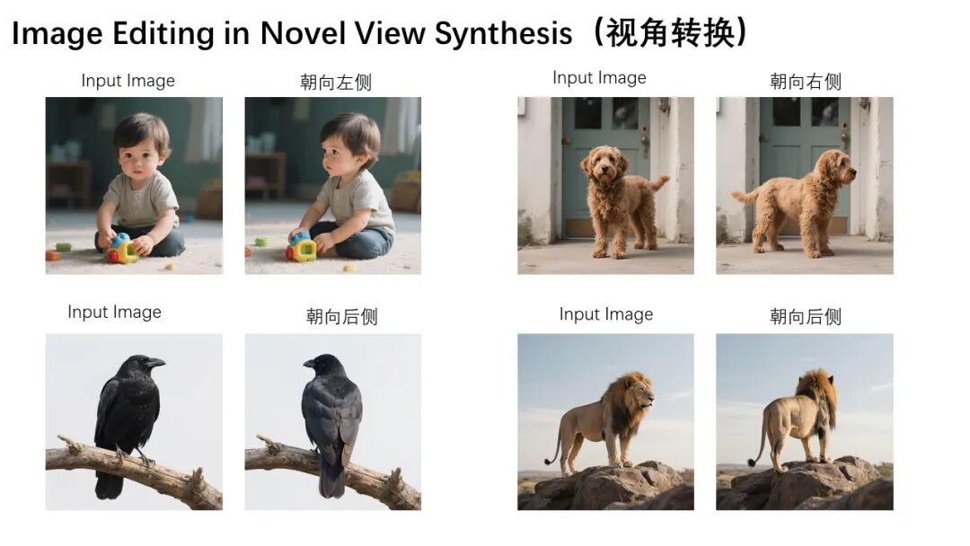 Viewpoint transformation 180 degrees