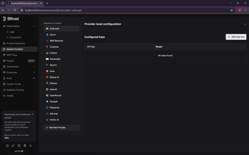 Image 21: Provider management interface showing API key configuration with visual controls and status indicators
